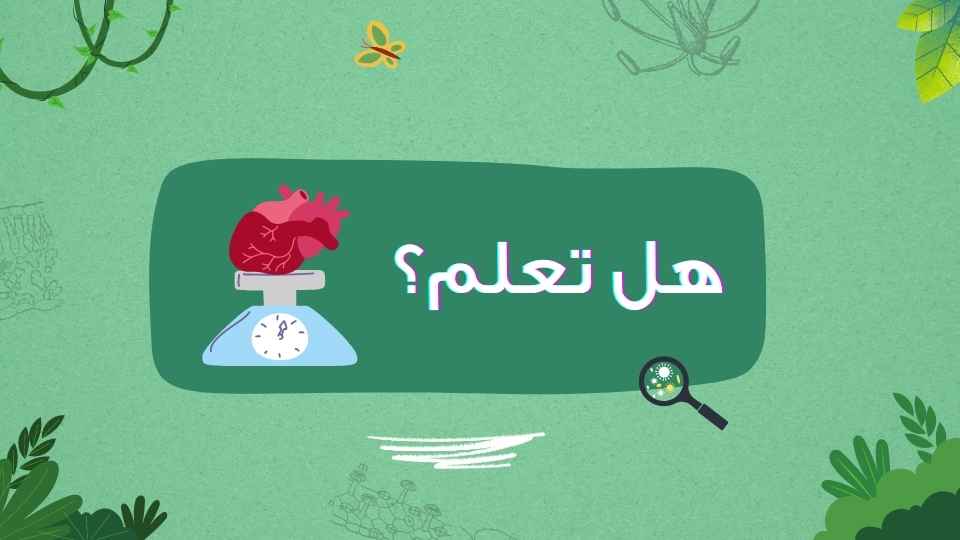 يمكن ان يزن قلبك
