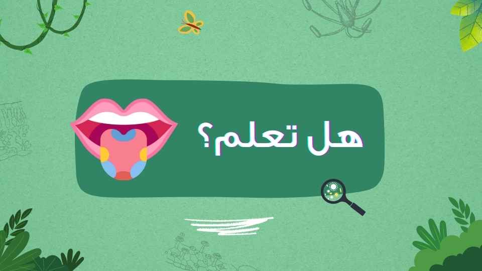 تتفاعل براعم التذوق